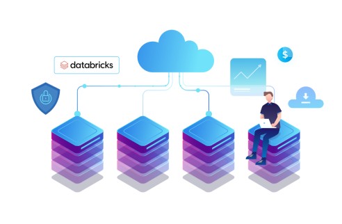 The Move to Databricks: How This Leading SaaS  Player Saved 30% on Data  Analysis Costs